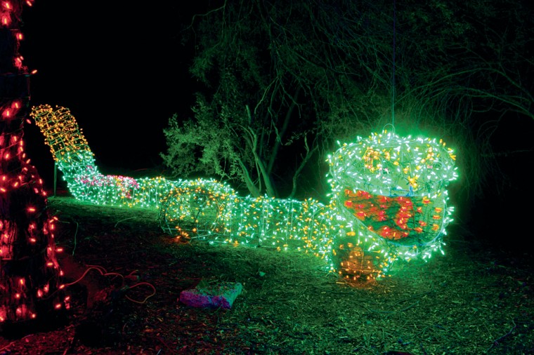 Zoolights